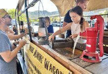 Rancho Water celebrates 60 years of service with Splash Fest