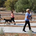 Murrieta unleashes new Glen Arbor Dog Park with grand opening