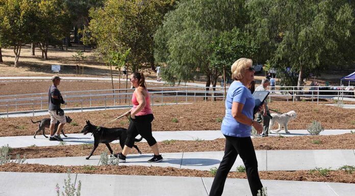 Murrieta unleashes new Glen Arbor Dog Park with grand opening