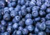 Wild blueberries linked to improved blood vessel function and memory in older adults