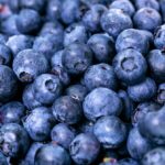 Wild blueberries linked to improved blood vessel function and memory in older adults