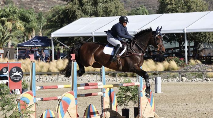 USEA American Eventing Championships returns to Temecula