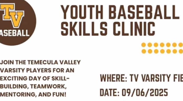 TVHS Golden Bears Baseball hosts youth skills camp to support program growth