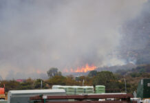 Anza photographer captures Coyote Fire’s dramatic spread