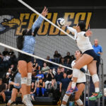 Eagles soar in Ivy League opener with sweep over Liberty