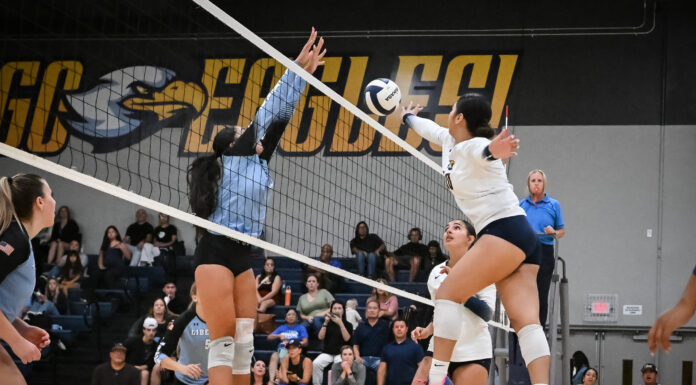 Eagles soar in Ivy League opener with sweep over Liberty