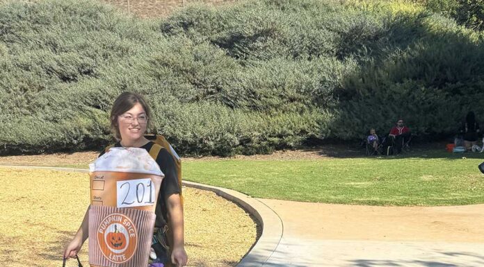 Annual Dogs Daze event will be highlighted by a pet costume contest