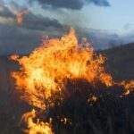 Tornado Fire 50% contained