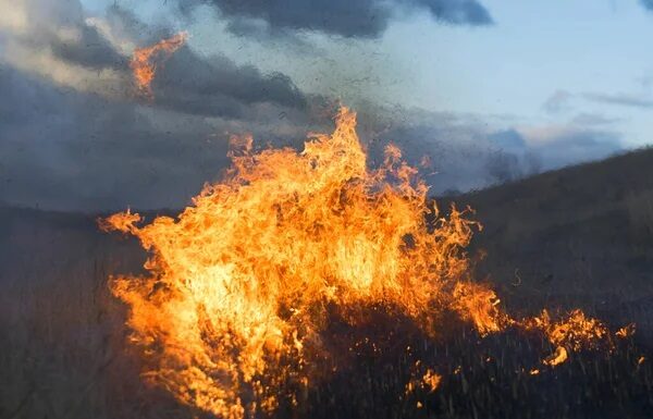 Tornado Fire 50% contained