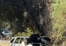 Fatal accident investigated as possible homicide