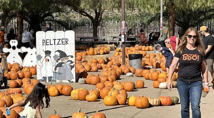 Families celebrate autumn traditions at Peltzer Pumpkin Farm