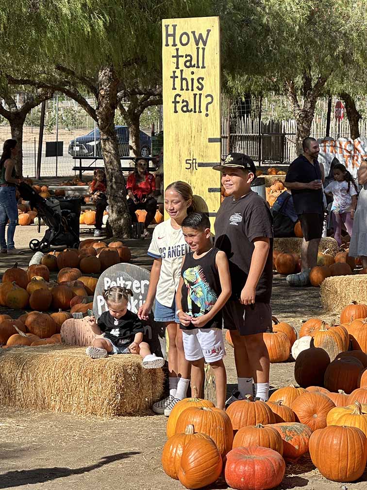 Families celebrate autumn traditions at Peltzer Pumpkin Farm