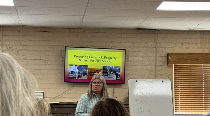 Equine Fire Evacuation Clinic draws concerned residents