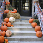 5th Annual Pumpkin Drive benefits sanctuary animals