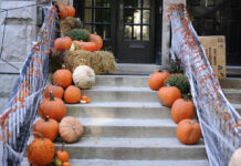 5th Annual Pumpkin Drive benefits sanctuary animals