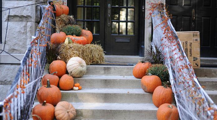 5th Annual Pumpkin Drive benefits sanctuary animals