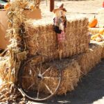 Autumn in Anza Festival debuts Nov. 15