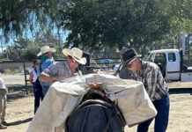 Packing education clinic draws local equestrians