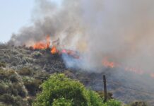 The reality of Public Safety Power Shutoffs in the Anza Valley