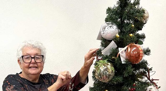 Hemet Valley Art Association joins the Jingle-Mingle