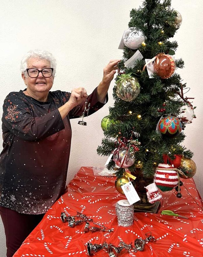 11-21-25-ENT-HVAA joins the Jingle-Mingle-Cphotos-1