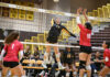 Golden Bears advance in State volleyball tournament