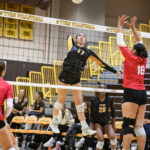 Golden Bears advance in State volleyball tournament