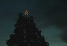 Anza Christmas Tree Lighting returns Dec. 6 with festive community celebration