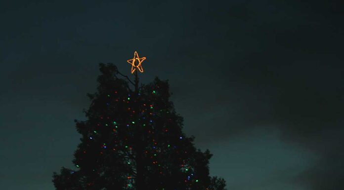Anza Christmas Tree Lighting returns Dec. 6 with festive community celebration