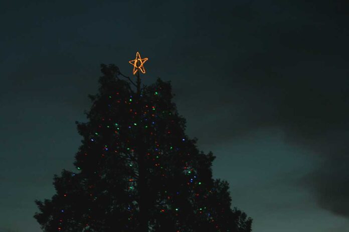 11-28-25-ANZA-Christmas Tree Lighting returns Dec. 6 with community celebration-DSphoto