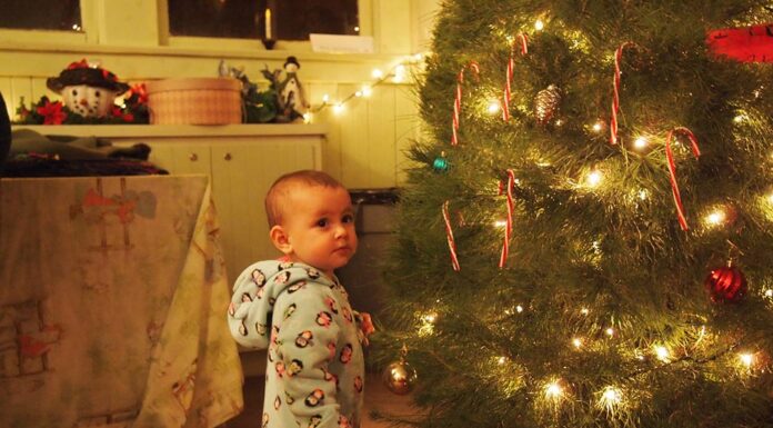 The twinkle that started it all: How electric lights changed Christmas