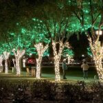 Town Square Park twinkles at night with holiday lights