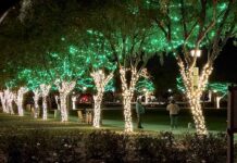 Town Square Park twinkles at night with holiday lights