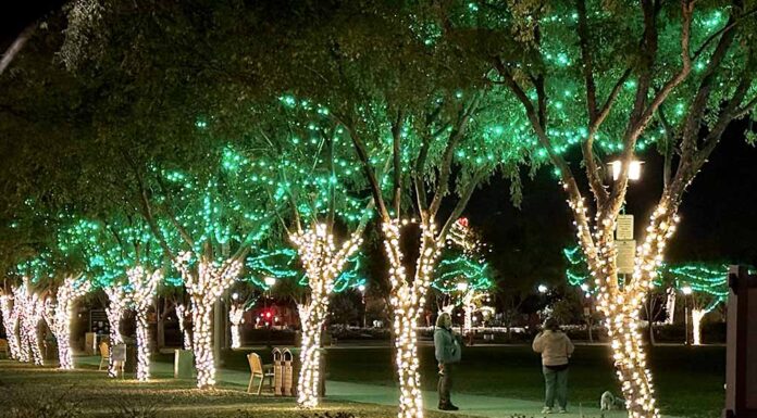 Town Square Park twinkles at night with holiday lights
