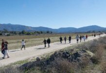 Noli students Walk Against Diabetes