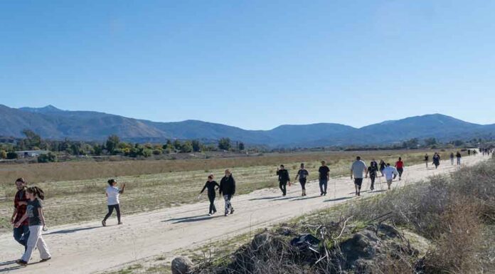 Noli students Walk Against Diabetes