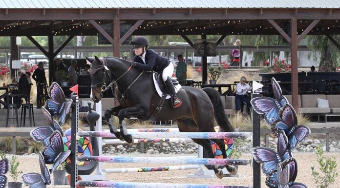 Galway Downs announces full slate of events for 2026 season