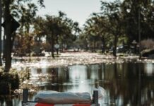 Insurance Commissioner Lara alerts consumers across the state about insurance coverage ahead of winter storms