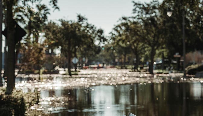 Insurance Commissioner Lara alerts consumers across the state about insurance coverage ahead of winter storms