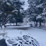 A year in review: 2025