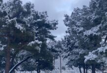 A year in review: 2025