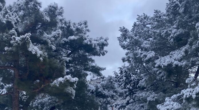 A year in review: 2025