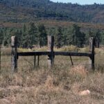 Knöppelåsen to host Trail Wanderings and Wonderings at Hurkey Creek Jan. 11