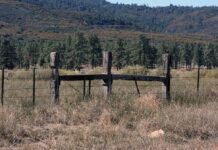 Knöppelåsen to host Trail Wanderings and Wonderings at Hurkey Creek Jan. 11