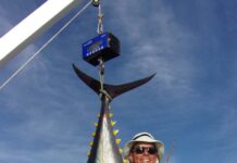 CDFW offers auto-renewal pilot program for 2026 fishing licenses