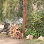 Don’t move firewood