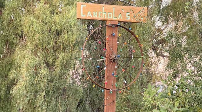 Don’t move firewood