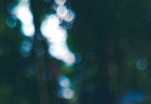 A safer way to stop household pests