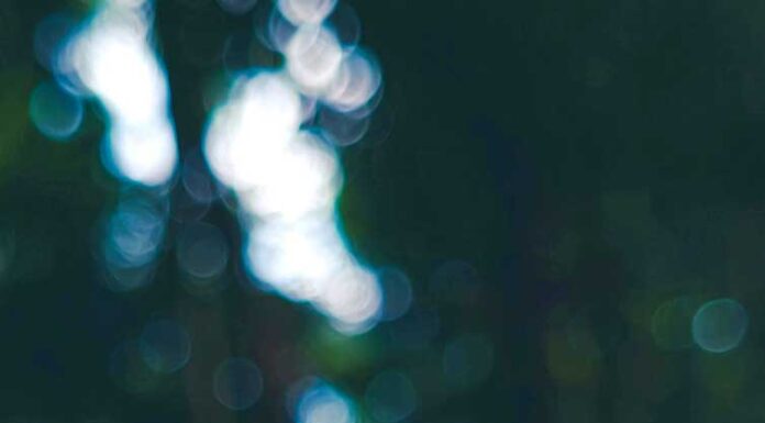 A safer way to stop household pests