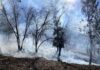 Smoke visible as CAL FIRE conducts prescribed burns near Pine Cove